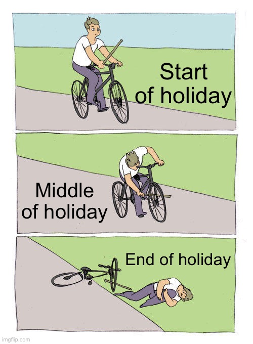 Holiday | Start of holiday; Middle of holiday; End of holiday | image tagged in memes,bike fall | made w/ Imgflip meme maker