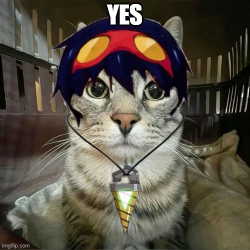 Simon but cat stare | YES | image tagged in simon but cat stare | made w/ Imgflip meme maker