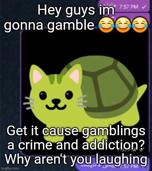 پیشی لاک پشت | Hey guys im gonna gamble 😂😂😂; Get it cause gamblings a crime and addiction? Why aren't you laughing | made w/ Imgflip meme maker