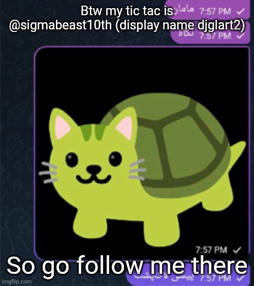 پیشی لاک پشت | Btw my tic tac is @sigmabeast10th (display name djglart2); So go follow me there | made w/ Imgflip meme maker