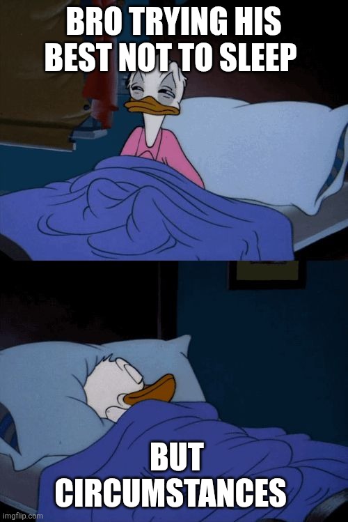 Sleep | BRO TRYING HIS BEST NOT TO SLEEP; BUT CIRCUMSTANCES | image tagged in sleeping donald duck | made w/ Imgflip meme maker