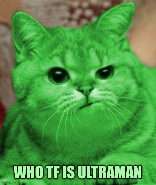 RayCat Annoyed | WHO TF IS ULTRAMAN | image tagged in raycat annoyed | made w/ Imgflip meme maker