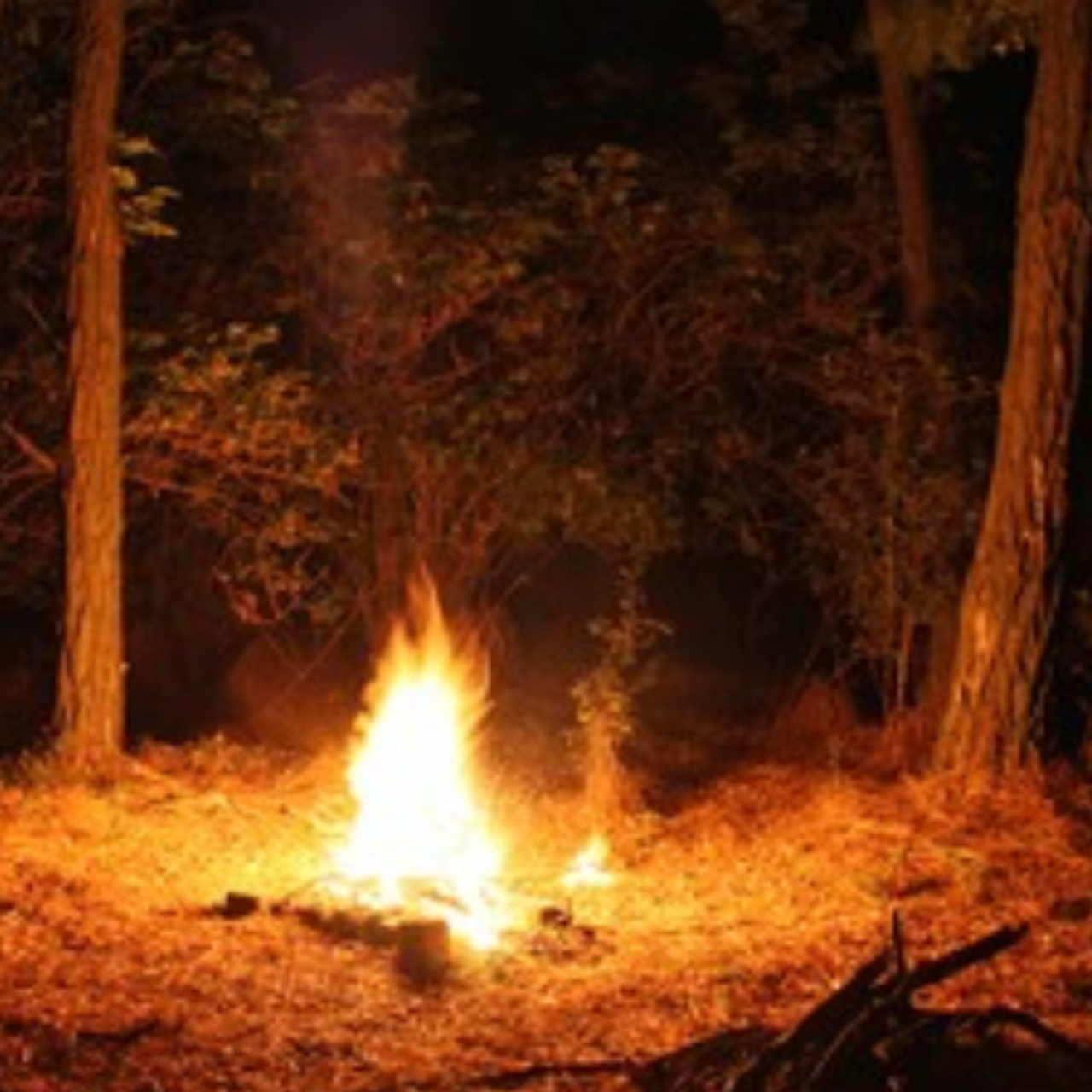 Campfire Blank Meme Template