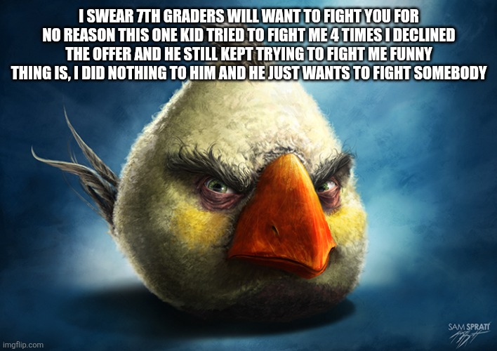 7th graders are a different breed | I SWEAR 7TH GRADERS WILL WANT TO FIGHT YOU FOR NO REASON THIS ONE KID TRIED TO FIGHT ME 4 TIMES I DECLINED THE OFFER AND HE STILL KEPT TRYING TO FIGHT ME FUNNY THING IS, I DID NOTHING TO HIM AND HE JUST WANTS TO FIGHT SOMEBODY | image tagged in realistic angry bird mathilda | made w/ Imgflip meme maker