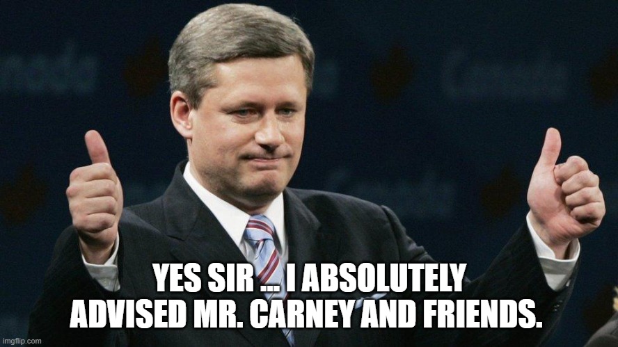canadian politics | YES SIR ... I ABSOLUTELY ADVISED MR. CARNEY AND FRIENDS. | image tagged in political meme | made w/ Imgflip meme maker
