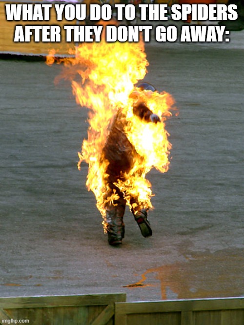 WHAT YOU DO TO THE SPIDERS AFTER THEY DON'T GO AWAY: | image tagged in burnt | made w/ Imgflip meme maker