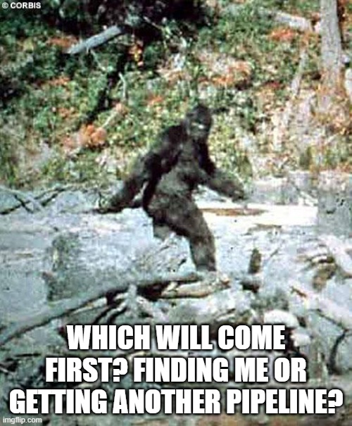 federal politics Canada | WHICH WILL COME FIRST? FINDING ME OR GETTING ANOTHER PIPELINE? | image tagged in political meme | made w/ Imgflip meme maker