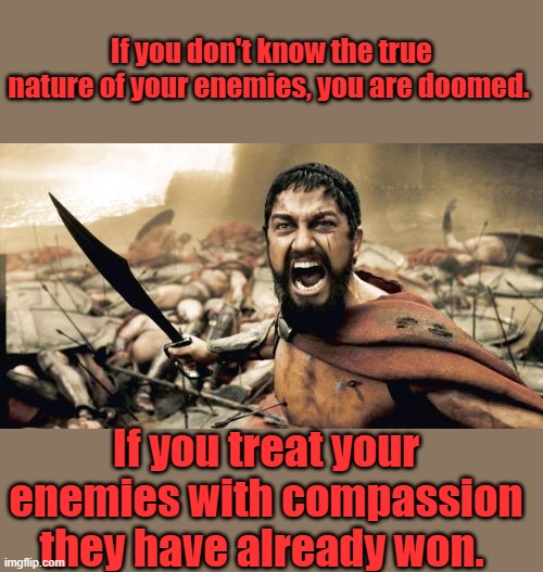 In the physical world | If you don't know the true nature of your enemies, you are doomed. If you treat your enemies with compassion they have already won. | image tagged in memes,sparta leonidas | made w/ Imgflip meme maker