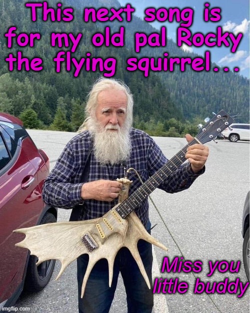 bullwinkle | This next song is for my old pal Rocky the flying squirrel... Miss you little buddy | image tagged in funny | made w/ Imgflip meme maker