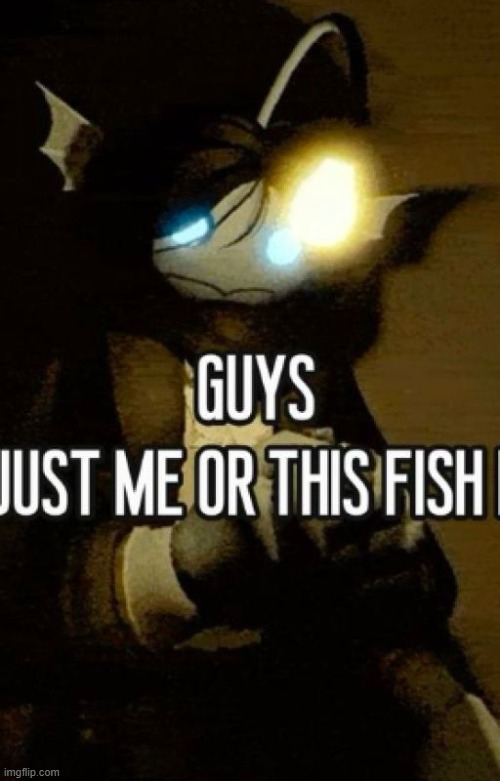le fish de le mar | made w/ Imgflip meme maker