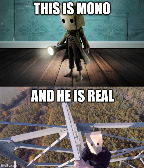 The real Mono | THIS IS MONO; AND HE IS REAL | image tagged in little nightmares,creepypasta,lattice climbing,meme,mono,latticeclimbing | made w/ Imgflip meme maker