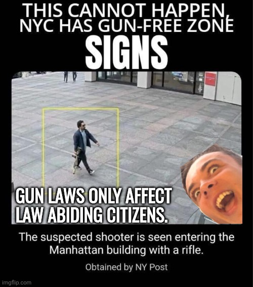 Gun laws only affect law abiding citizens | GUN LAWS ONLY AFFECT LAW ABIDING CITIZENS. | image tagged in shooter,gun control | made w/ Imgflip meme maker