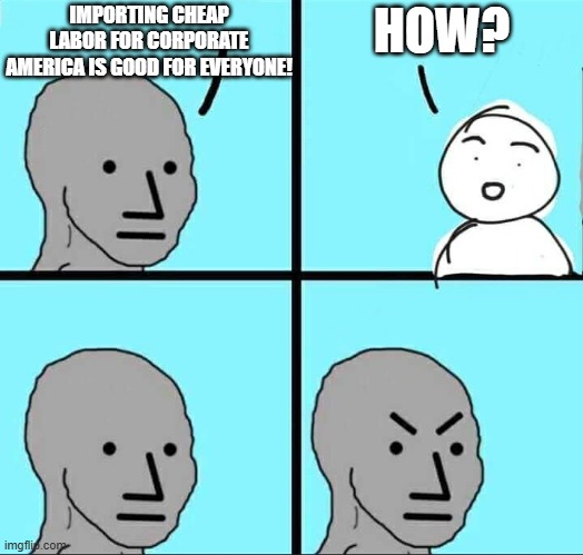 useful idiots will be useful idiots | IMPORTING CHEAP LABOR FOR CORPORATE AMERICA IS GOOD FOR EVERYONE! HOW? | image tagged in npc meme,illegal immigration,donald trump,leftists,liberal hypocrisy,slavery | made w/ Imgflip meme maker
