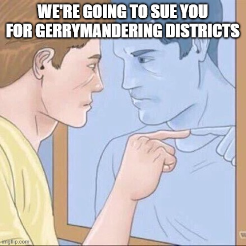 Pointing mirror guy | WE'RE GOING TO SUE YOU FOR GERRYMANDERING DISTRICTS | image tagged in pointing mirror guy | made w/ Imgflip meme maker