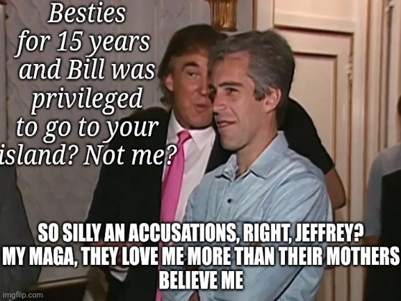Wasn't privileged | image tagged in donald trump,maga,love him more than mom,enough,lies,donald | made w/ Imgflip meme maker