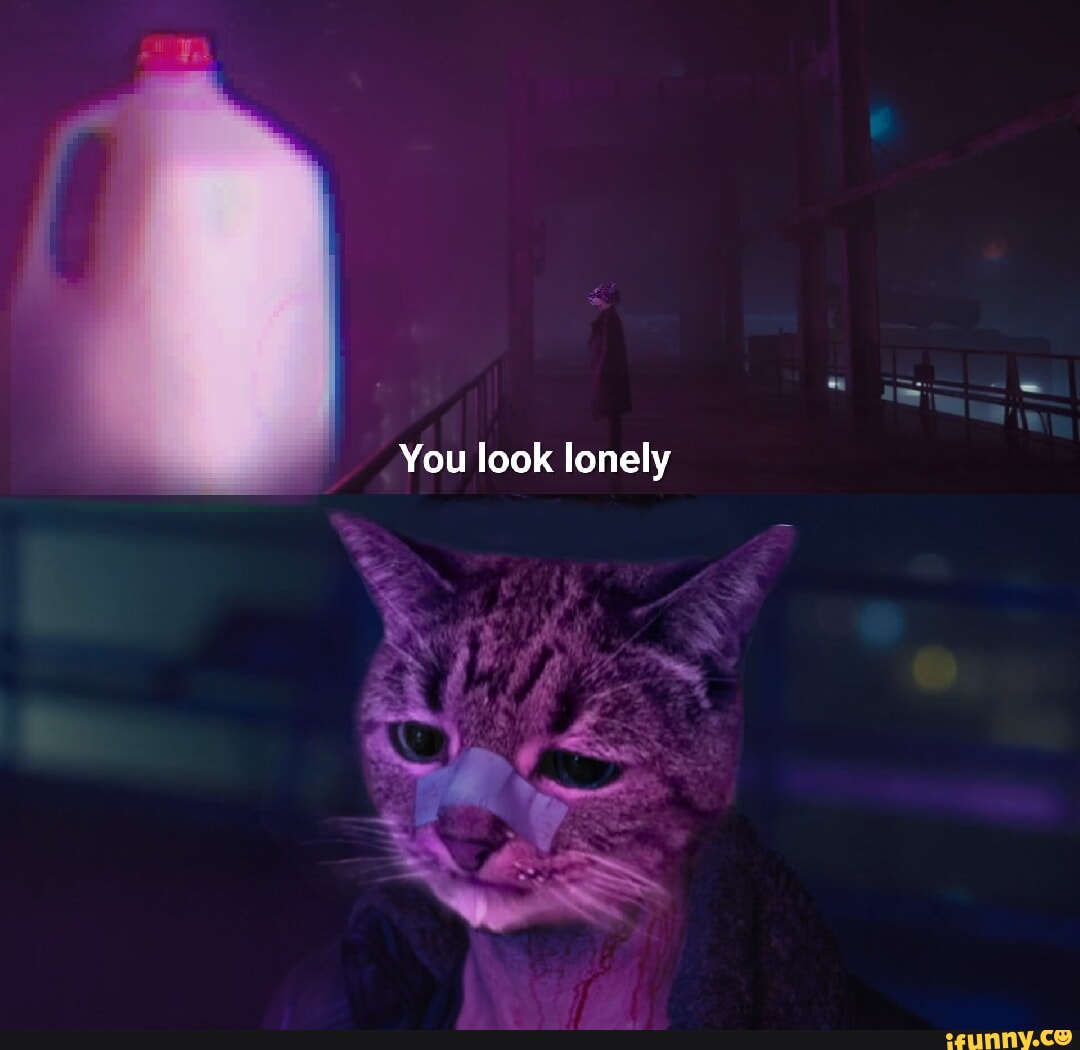 you look lonely Blank Meme Template