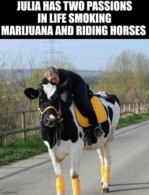 Julia Has Two Passions In Life Smoking Marijuana And Riding Horses | JULIA HAS TWO PASSIONS IN LIFE SMOKING MARIJUANA AND RIDING HORSES | image tagged in chrisjoines1 | made w/ Imgflip meme maker