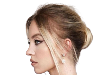 sydney sweeney Blank Meme Template