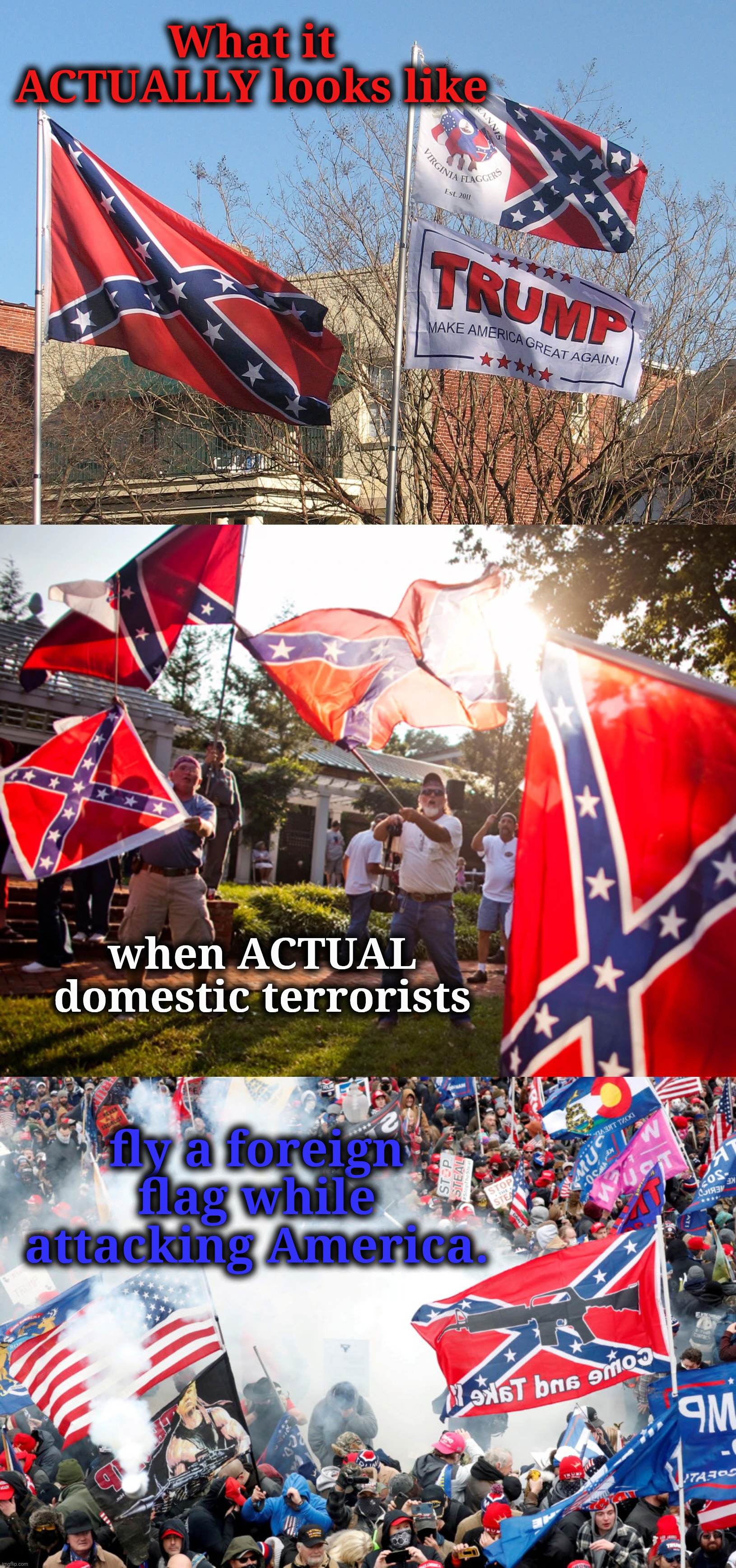 The REAL Domestic Terrorists | What it ACTUALLY looks like; when ACTUAL domestic terrorists; fly a foreign flag while attacking America. | image tagged in maga must go,maga are traitors,jefthehobo | made w/ Imgflip meme maker