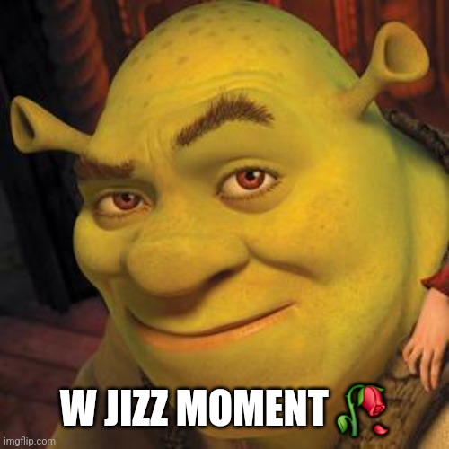 Shrek Sexy Face | W JIZZ MOMENT ? | image tagged in shrek sexy face | made w/ Imgflip meme maker