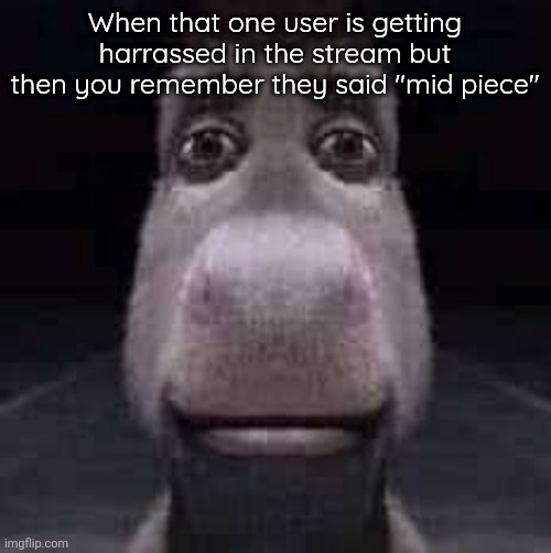 Donkey staring | When that one user is getting harrassed in the stream but then you remember they said "mid piece" | image tagged in donkey staring | made w/ Imgflip meme maker