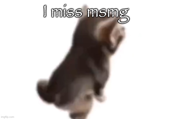 Me too Masq, me too. - hecate | I miss msmg | image tagged in side el gatito | made w/ Imgflip meme maker