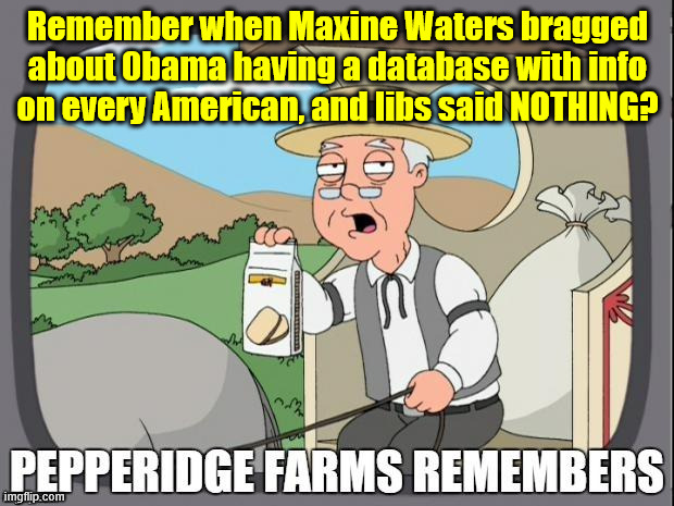 PEPPERIDGE FARMS REMEMBERS | Remember when Maxine Waters bragged about 0bama having a database with info on every American, and libs said NOTHING? | image tagged in pepperidge farms remembers | made w/ Imgflip meme maker
