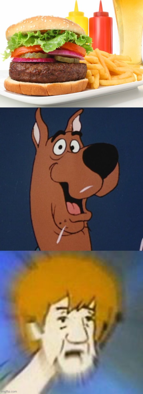 image tagged in hamburger,scooby-doo,shaggy dank meme | made w/ Imgflip meme maker