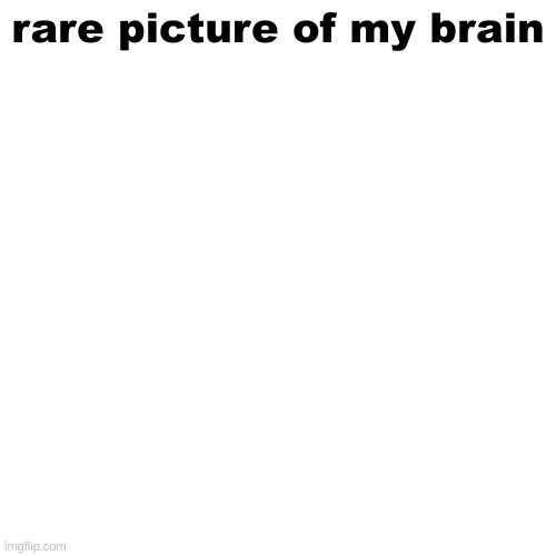 brain | rare picture of my brain | image tagged in brain,you have been eternally cursed for reading the tags,why is the fbi here,stop reading these tags,empty | made w/ Imgflip meme maker