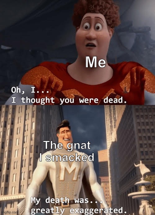 “I ALWAYS come back | Me; The gnat
I smacked | image tagged in my death was greatly exaggerated,insects,afterlife | made w/ Imgflip meme maker