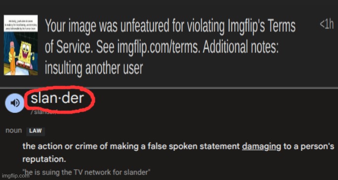 The title literally says slander. also since when was this a rule? | made w/ Imgflip meme maker