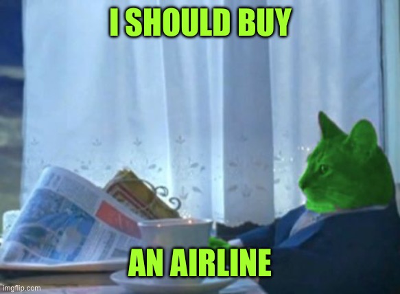 I Should Buy a Boat RayCat | I SHOULD BUY AN AIRLINE | image tagged in i should buy a boat raycat | made w/ Imgflip meme maker