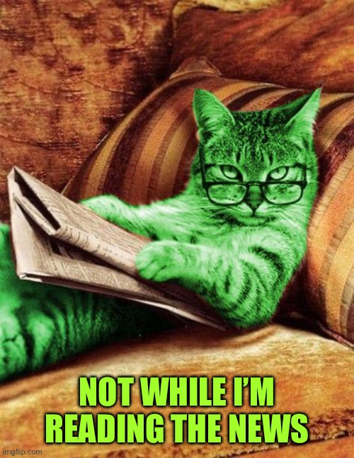 Factual RayCat | NOT WHILE I’M READING THE NEWS | image tagged in factual raycat | made w/ Imgflip meme maker