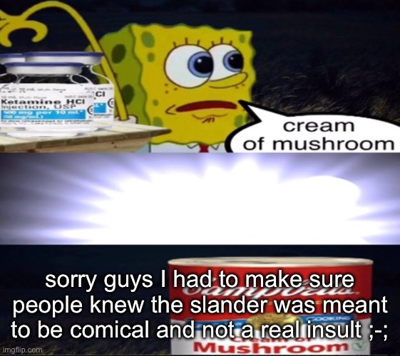 sowwy | sorry guys I had to make sure people knew the slander was meant to be comical and not a real insult ;-; | image tagged in cream of mushroom | made w/ Imgflip meme maker