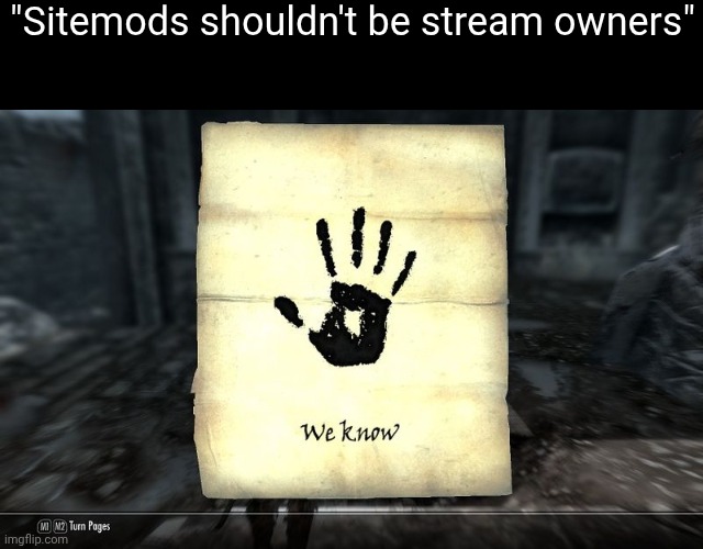We get it | "Sitemods shouldn't be stream owners" | image tagged in skyrim we know | made w/ Imgflip meme maker