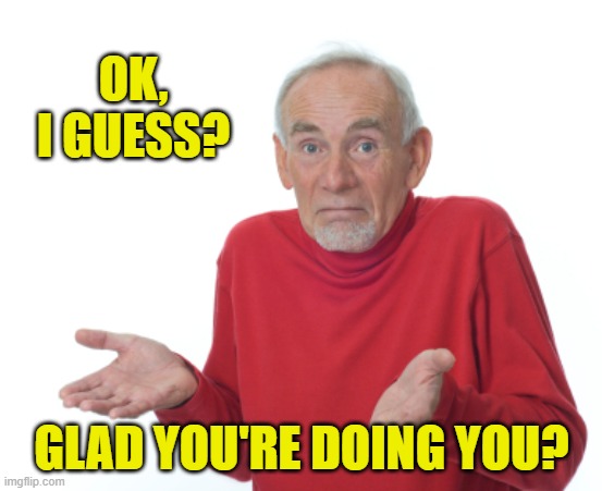 Guess I'll die  | OK, I GUESS? GLAD YOU'RE DOING YOU? | image tagged in guess i'll die | made w/ Imgflip meme maker