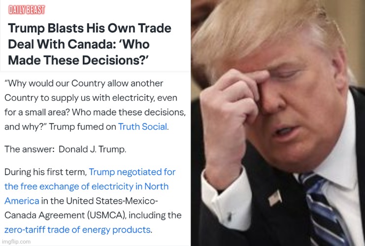 : | image tagged in fml trump facepalm | made w/ Imgflip meme maker