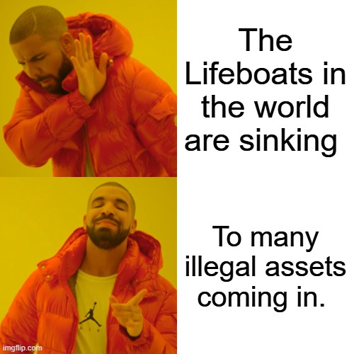 Libs are proving Illegals are a asset to the WEST WE NEED MORE ILLEGAL especially those who chant DEATH TO America | The Lifeboats in the world are sinking; To many illegal assets coming in. | image tagged in memes,drake hotline bling | made w/ Imgflip meme maker