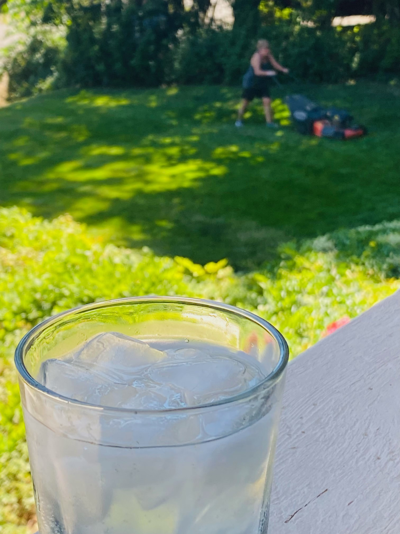 Wife yard work Blank Meme Template
