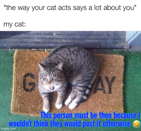 Hilarious | This person must be then because I wouldn't think they would post it otherwise 🤣 | image tagged in cats,funny cat memes,gay,hilarious,closeted gay,the truth teller | made w/ Imgflip meme maker