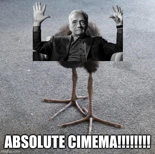 Pukeko chick | ABSOLUTE CIMEMA!!!!!!!! | image tagged in pukeko chick | made w/ Imgflip meme maker