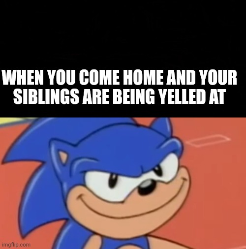Siblings am i right | WHEN YOU COME HOME AND YOUR SIBLINGS ARE BEING YELLED AT | image tagged in smug sonic | made w/ Imgflip meme maker