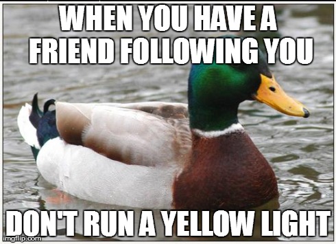 Actual Advice Mallard Meme | WHEN YOU HAVE A FRIEND FOLLOWING YOU DON'T RUN A YELLOW LIGHT | image tagged in memes,actual advice mallard,AdviceAnimals | made w/ Imgflip meme maker
