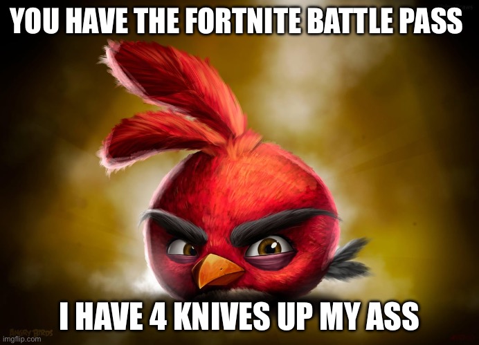 Realistic ruby Angry Birds | YOU HAVE THE FORTNITE BATTLE PASS; I HAVE 4 KNIVES UP MY ASS | image tagged in realistic ruby angry birds,fortnite,battle pass | made w/ Imgflip meme maker