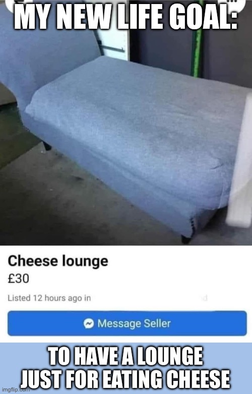 Cheese Lounge? Sofa, so good | MY NEW LIFE GOAL:; TO HAVE A LOUNGE JUST FOR EATING CHEESE | image tagged in chaise lounge,sofa,good,cheese,life goals | made w/ Imgflip meme maker