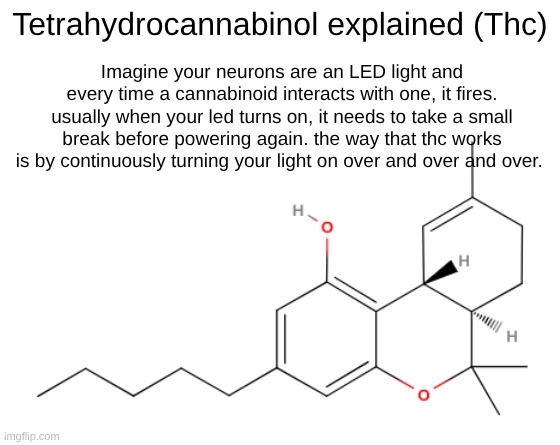 drug lesson #1 | Tetrahydrocannabinol explained (Thc); Imagine your neurons are an LED light and every time a cannabinoid interacts with one, it fires. usually when your led turns on, it needs to take a small break before powering again. the way that thc works is by continuously turning your light on over and over and over. | made w/ Imgflip meme maker