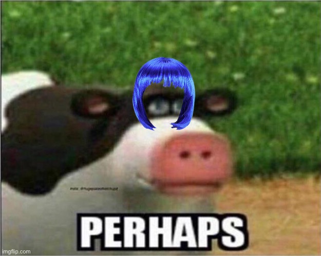 image tagged in perhaps cow | made w/ Imgflip meme maker