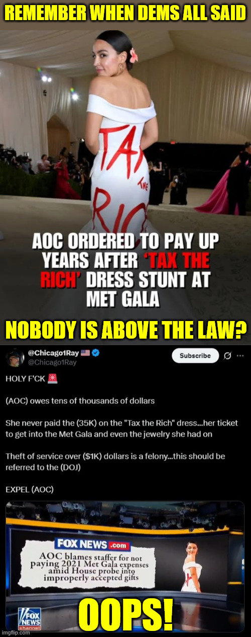 Nobody is above the law | REMEMBER WHEN DEMS ALL SAID; NOBODY IS ABOVE THE LAW? OOPS! | image tagged in aoc,guilty,blames staffer | made w/ Imgflip meme maker