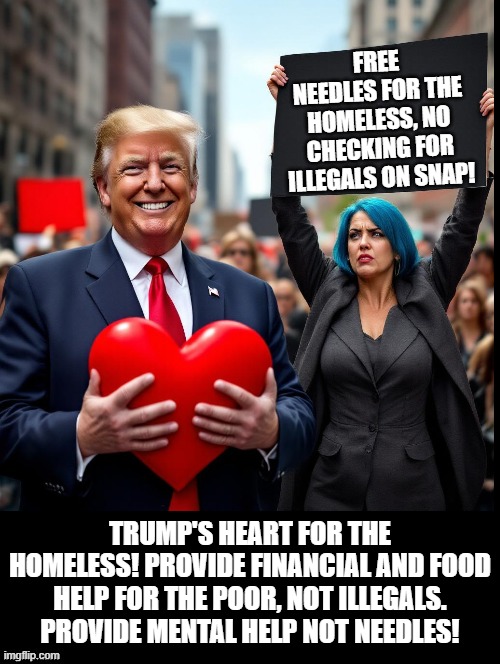 Trump really wants to help the Homeless! Not give needles to slowly kill them! | FREE NEEDLES FOR THE HOMELESS, NO CHECKING FOR ILLEGALS ON SNAP! TRUMP'S HEART FOR THE HOMELESS! PROVIDE FINANCIAL AND FOOD HELP FOR THE POOR, NOT ILLEGALS. PROVIDE MENTAL HELP NOT NEEDLES! | image tagged in please help me | made w/ Imgflip meme maker