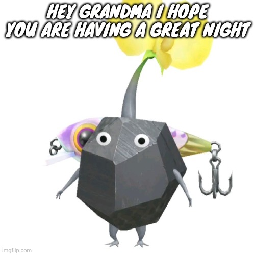 Fishing bait rock pikmin | HEY GRANDMA I HOPE YOU ARE HAVING A GREAT NIGHT | image tagged in fishing bait rock pikmin | made w/ Imgflip meme maker